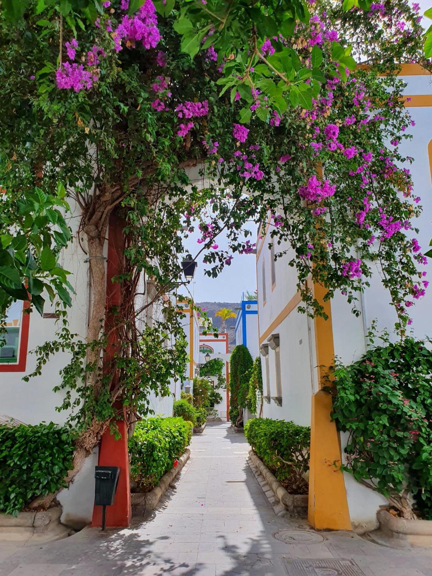 Billy'S Puerto De Mogan Apartments By Livvo Extérieur photo